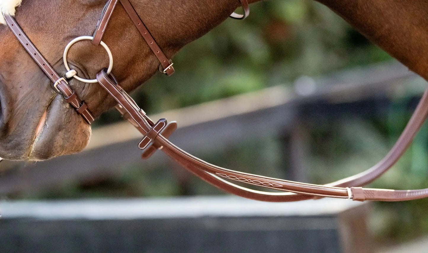 Close-up of a horse's head with a bridle, blurred green background