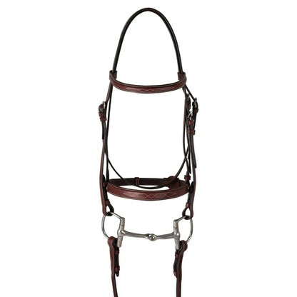 Brown horse bridle with metal bit on a white background