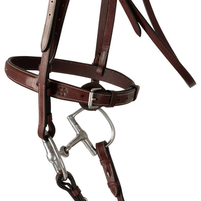 Brown leather horse bridle with metal hardware on a white background