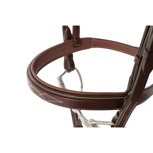 Brown leather bridle on a white background