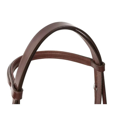 Brown leather bridle on a white background