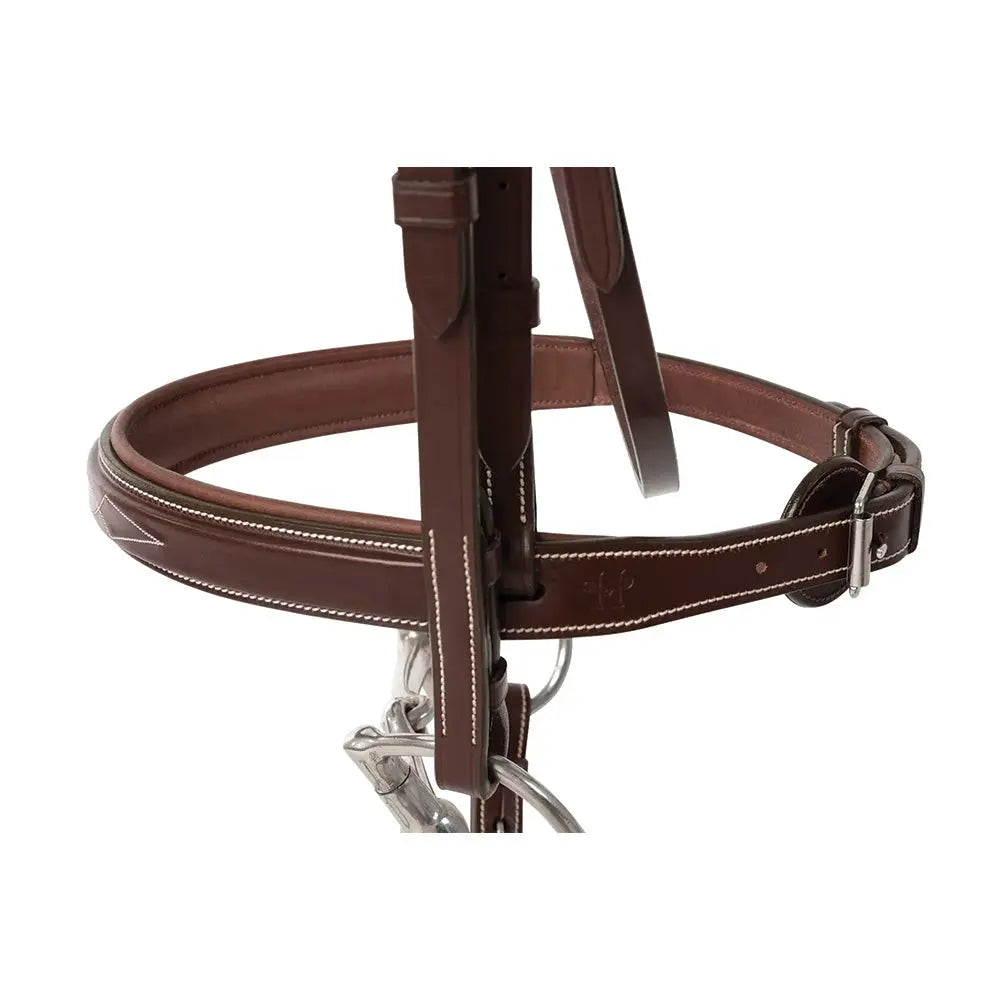 Brown leather bridle with metal hardware on a white background