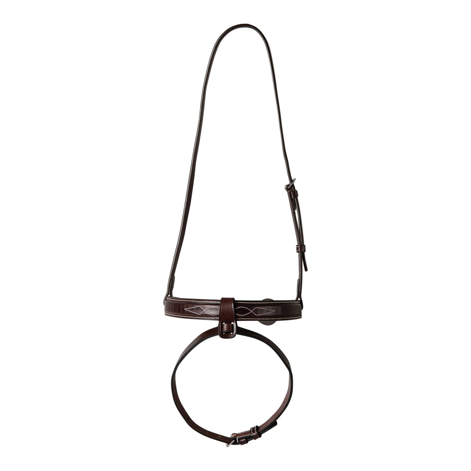 Brown leather bridle on a white background