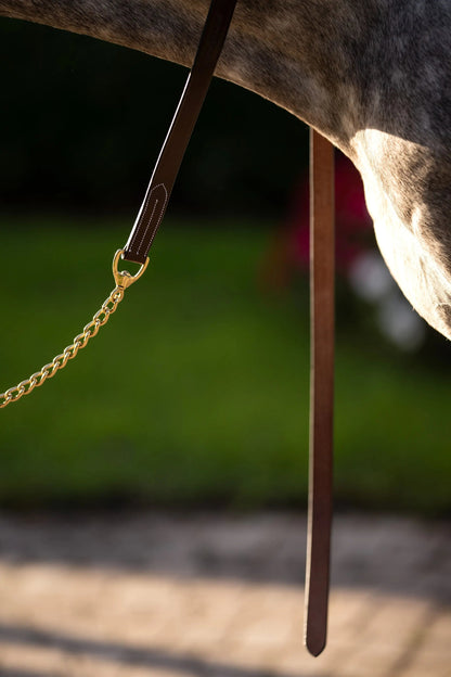 Horse bridle with a gold bit on a blurred background