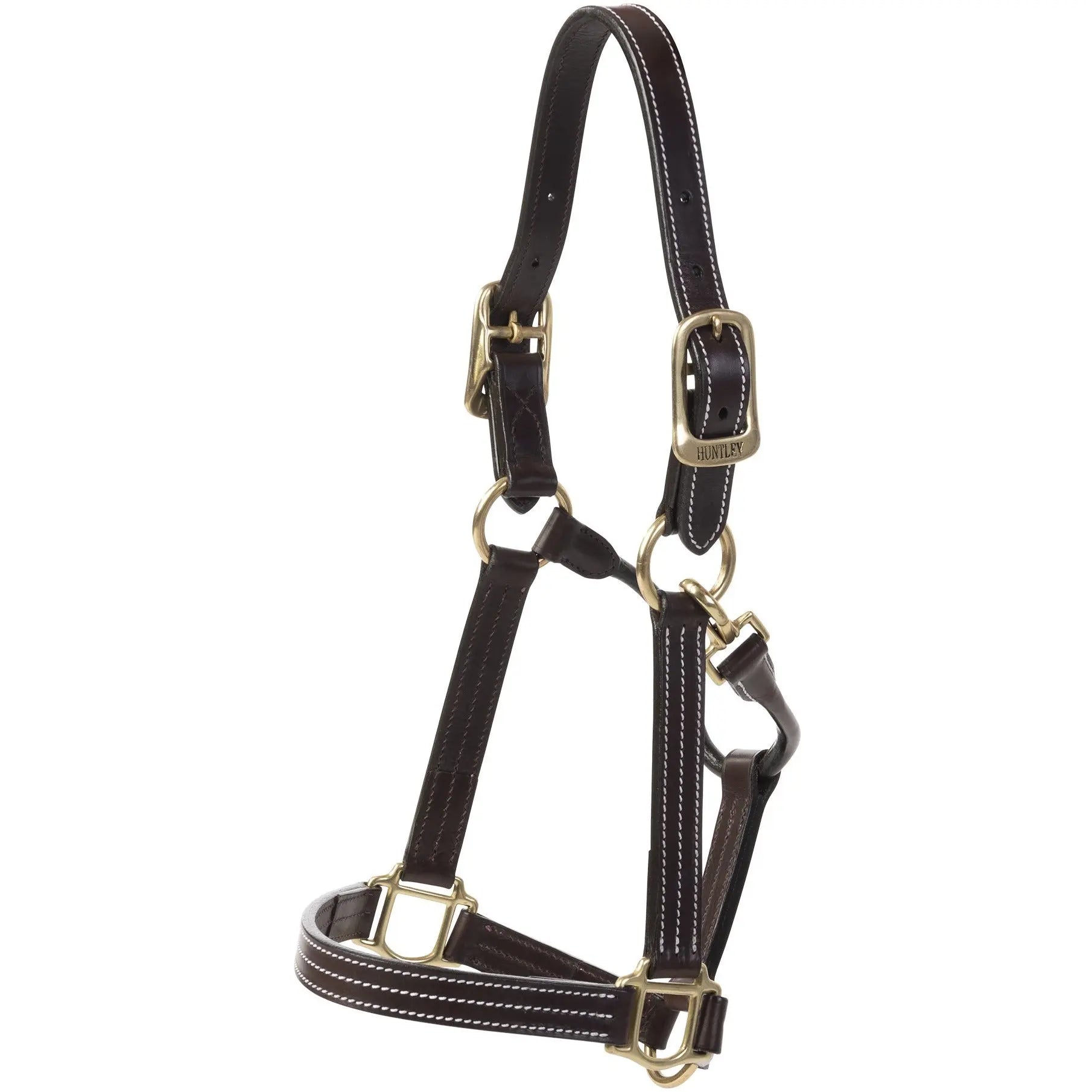 Brown leather horse halter with brass hardware on a white background