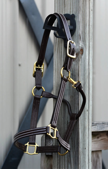Brown leather horse bridle with gold hardware attached to a wooden post.