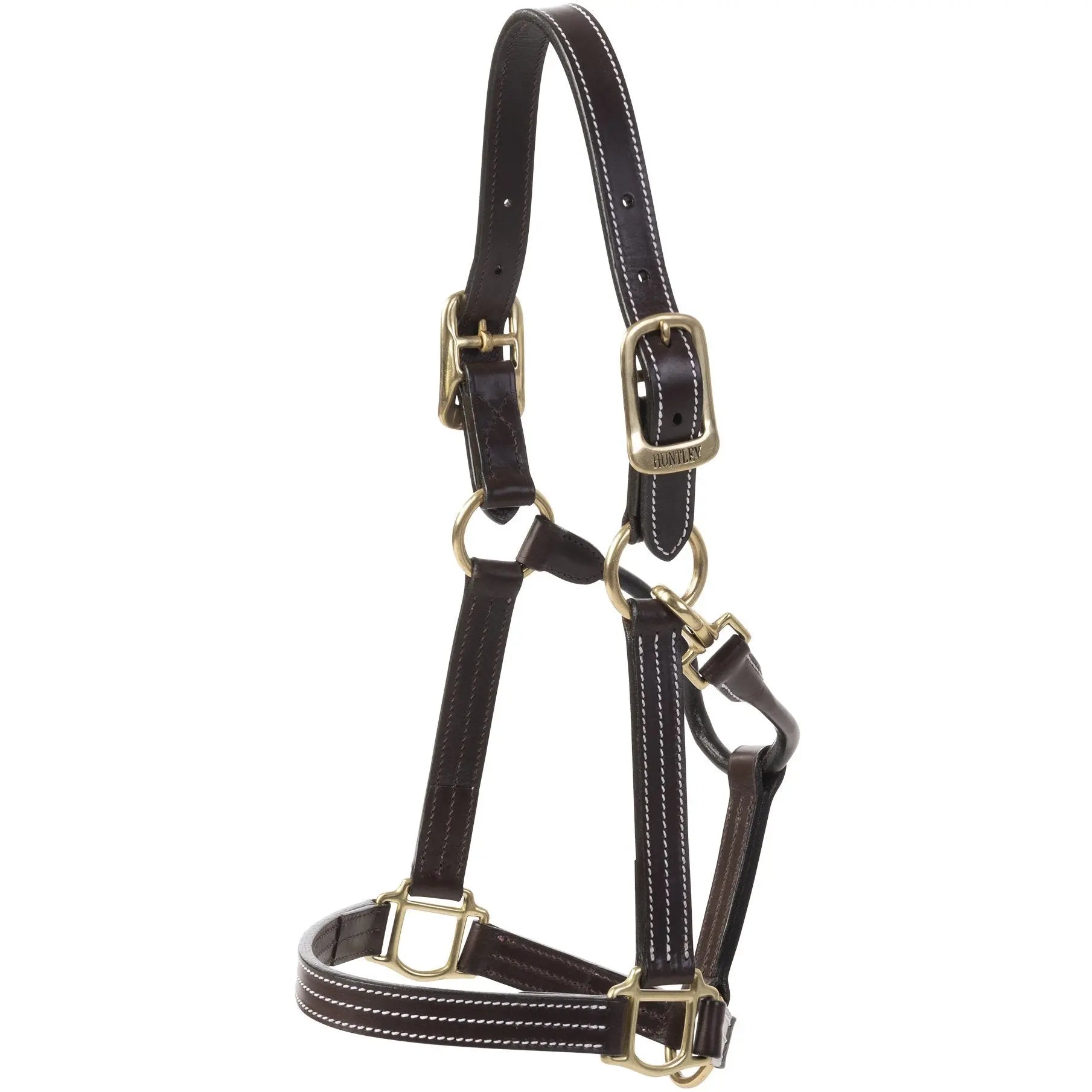 Black leather horse halter with gold hardware on a white background