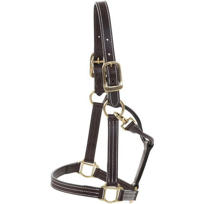 Brown leather horse halter with gold hardware on a white background