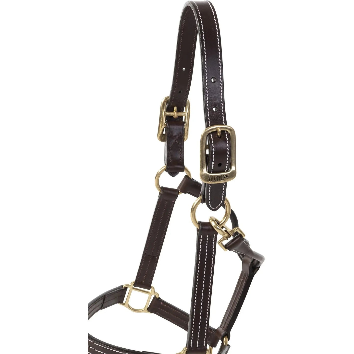 Brown leather horse halter with gold hardware on a white background