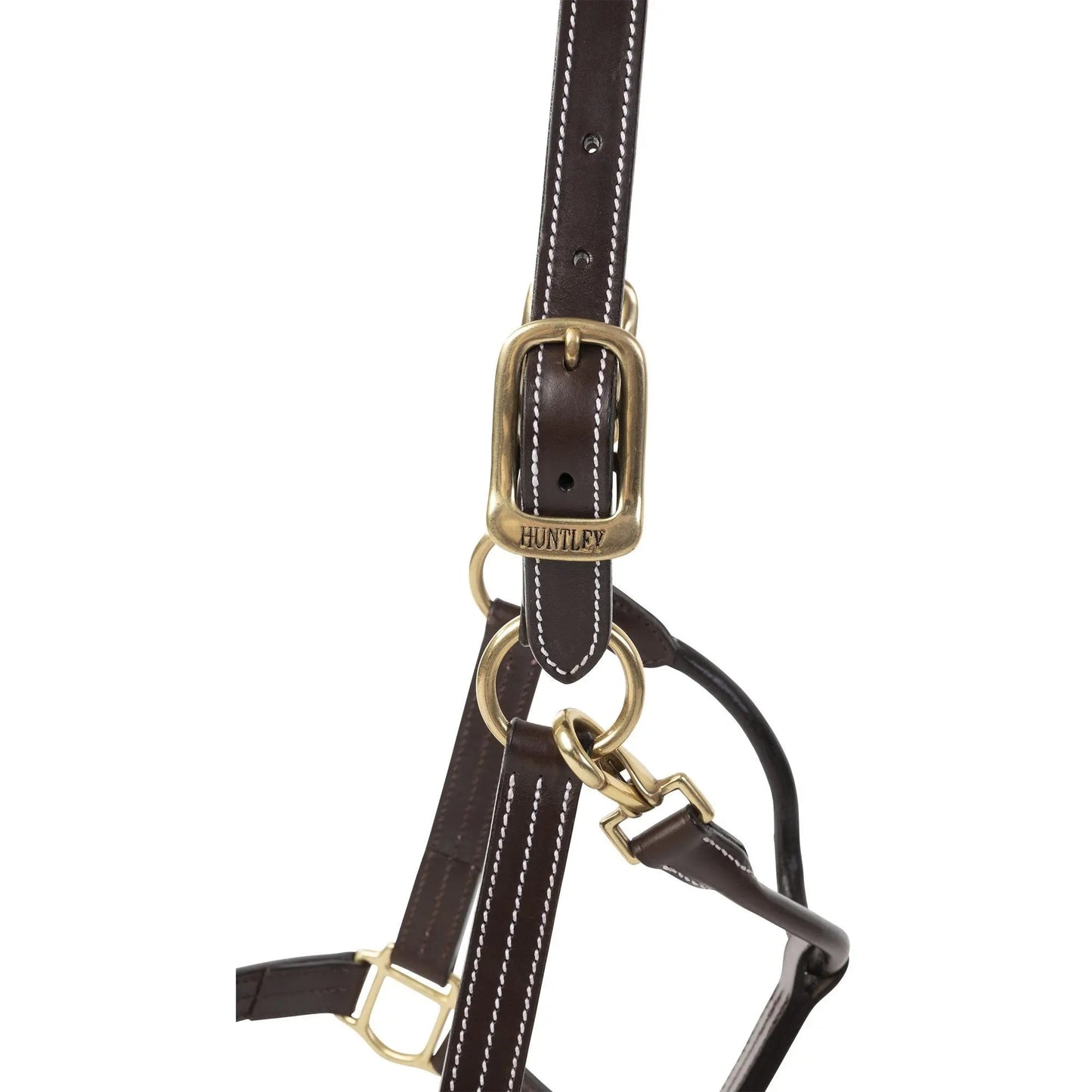 Brown leather bridle with gold hardware on a white background