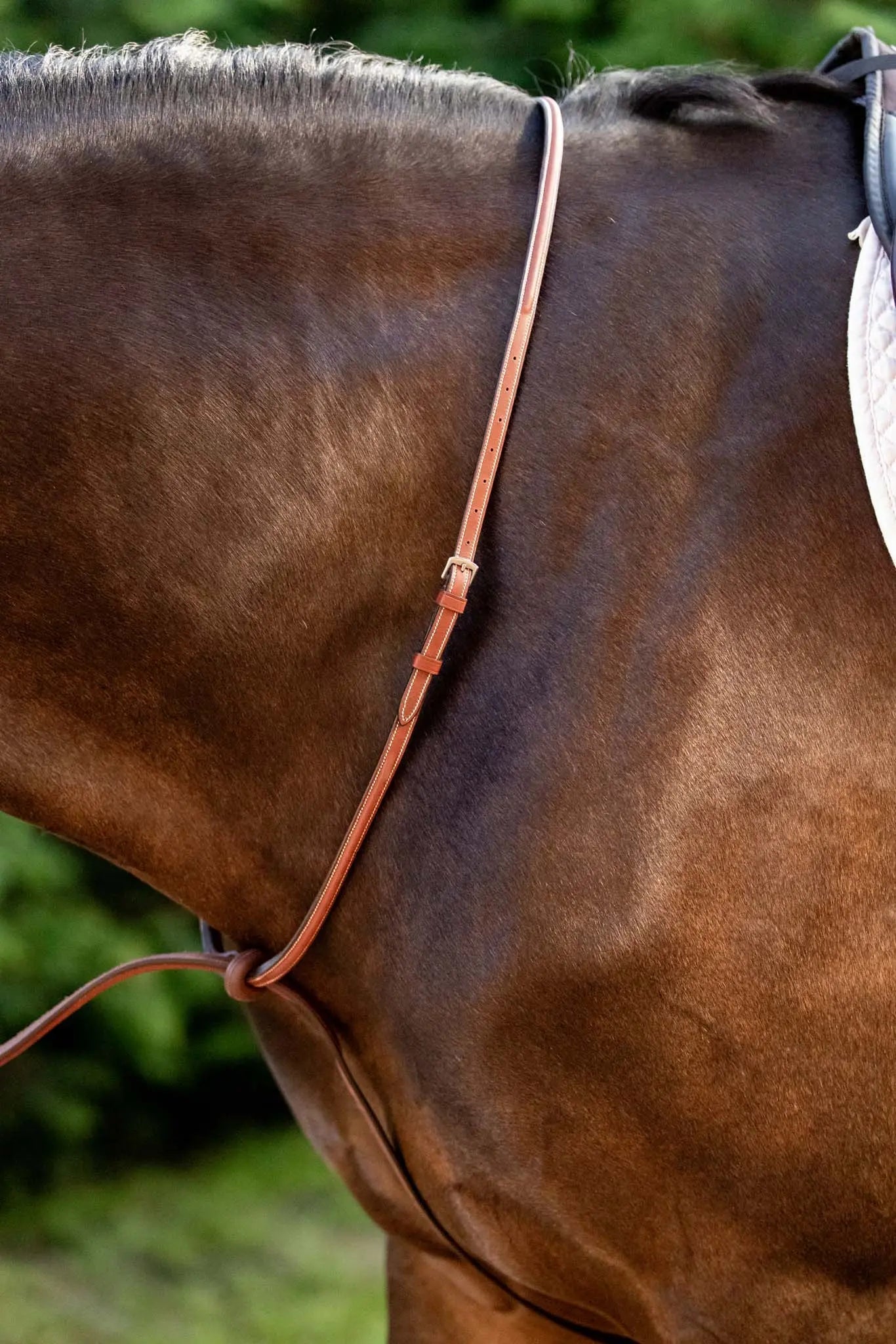 Brown horse with a leather bridle and saddle pad against a blurred green background