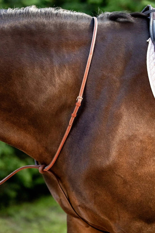 Brown horse with a leather bridle and saddle pad against a blurred green background