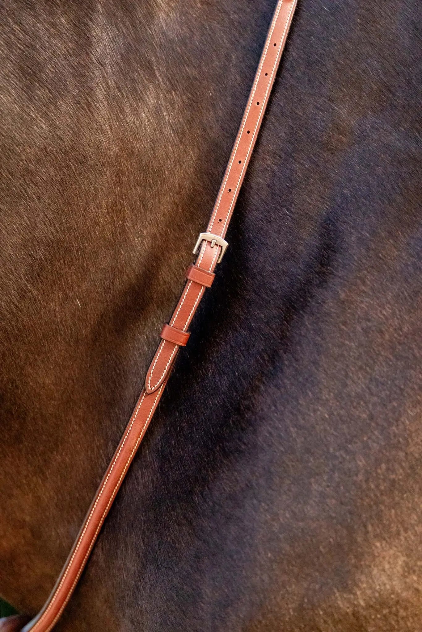 Brown leather bridle strap on a horse's neck
