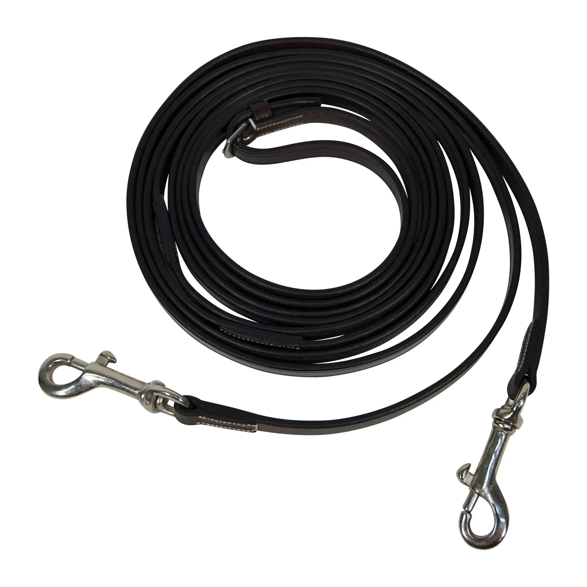Black leather dog leash with metal hooks on a white background