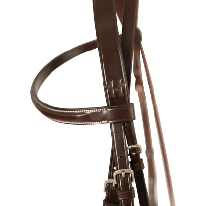 Brown leather bridle with metal hardware on a white background