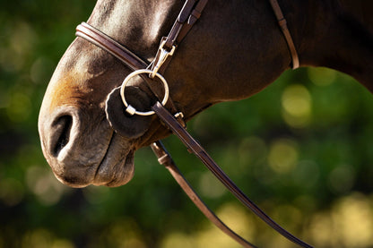 Close-up of a horse's head with a bridle against a blurred green background