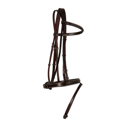 Brown horse bridle on a white background