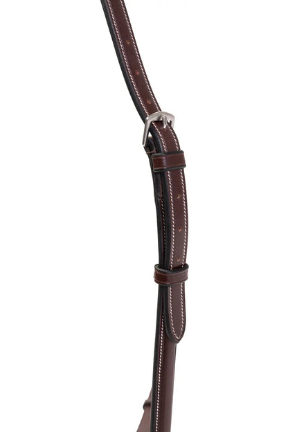 Brown leather bridle strap with silver buckle on a white background