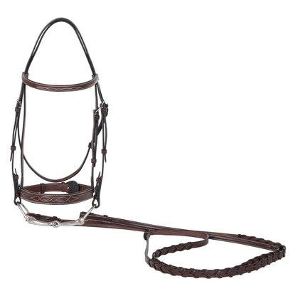 Brown horse bridle with reins on a white background