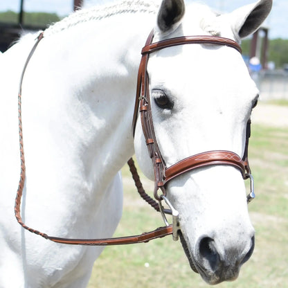 White horse wearing a brown bridle in an outdoor setting