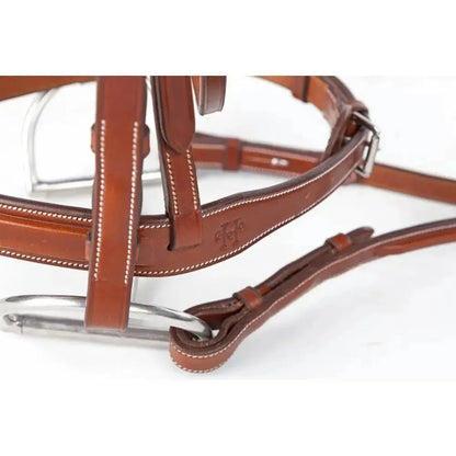 Brown leather bridle with metal hardware on a white background