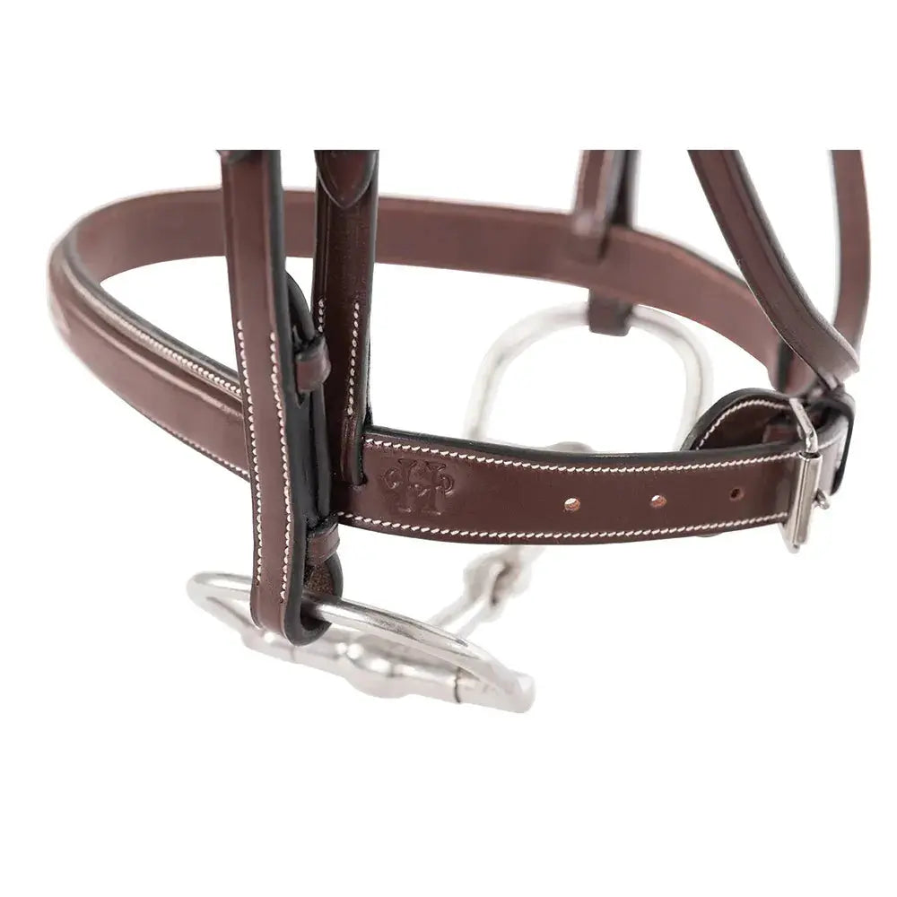 Brown leather bridle with silver hardware on a white background