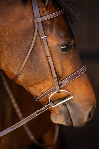 Close-up of a brown horse wearing a bridle with a dark background