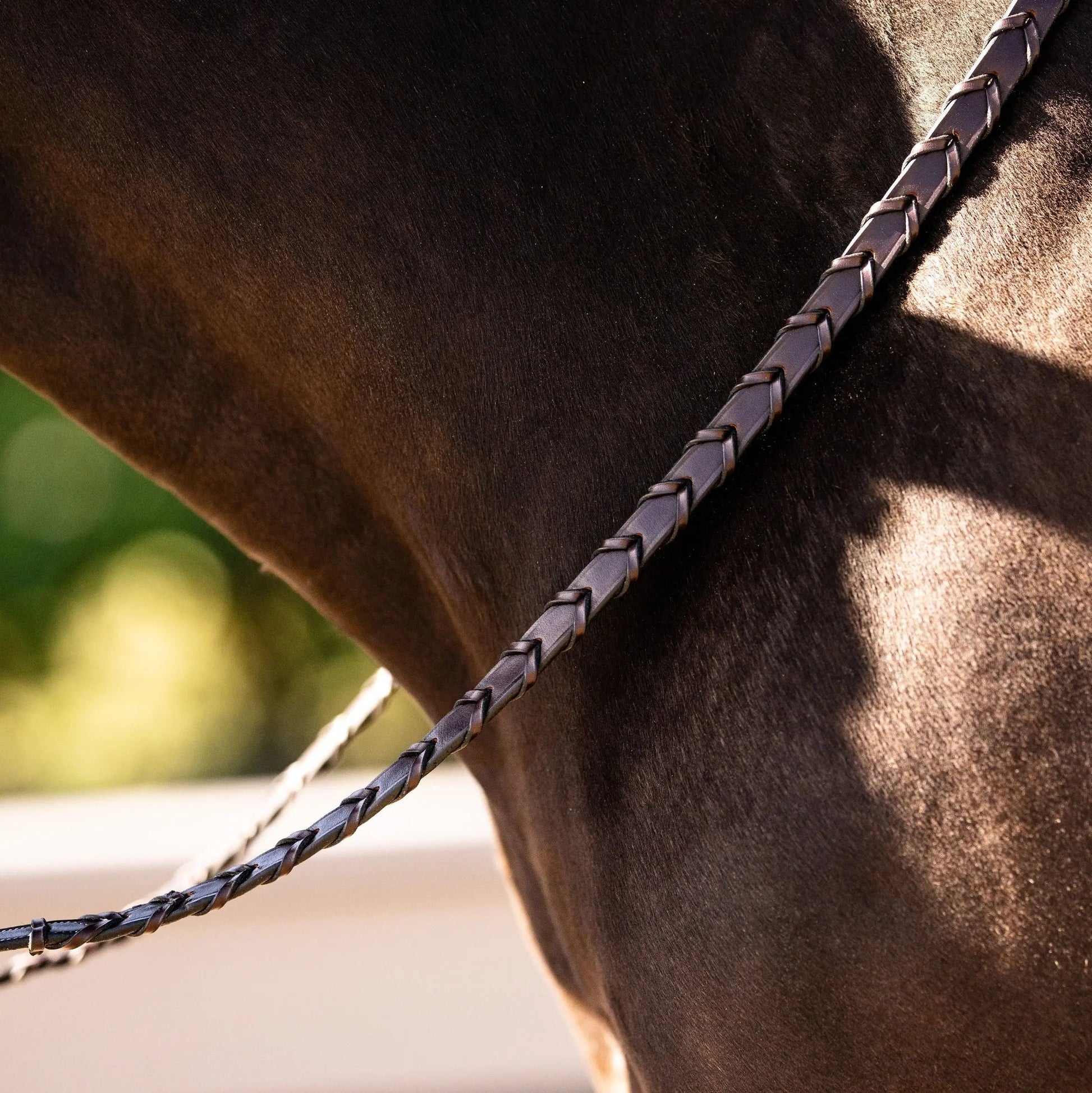 Close-up of a horse's neck with a bridle, blurred green background