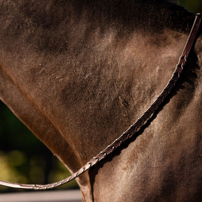 Close-up of a horse's head with a bridle, focusing on the texture and details.