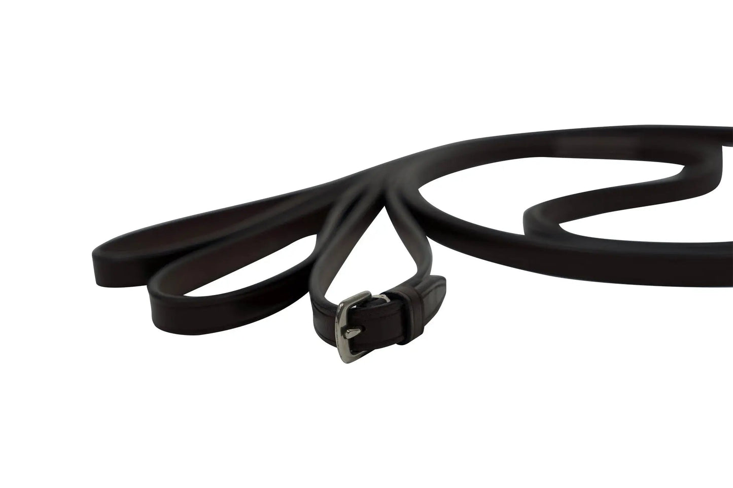 Black dog leash with a metal buckle on a white background