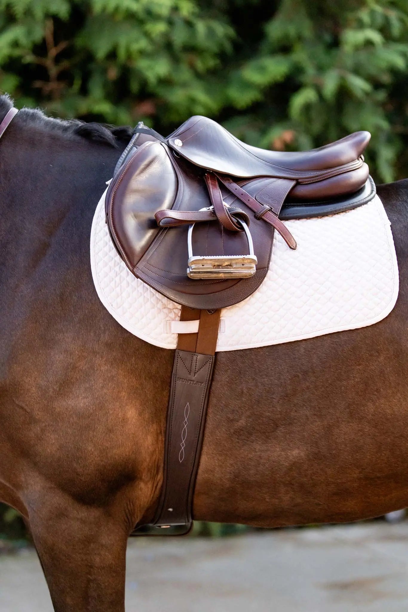 Brown saddle on a horse with a blurred green background