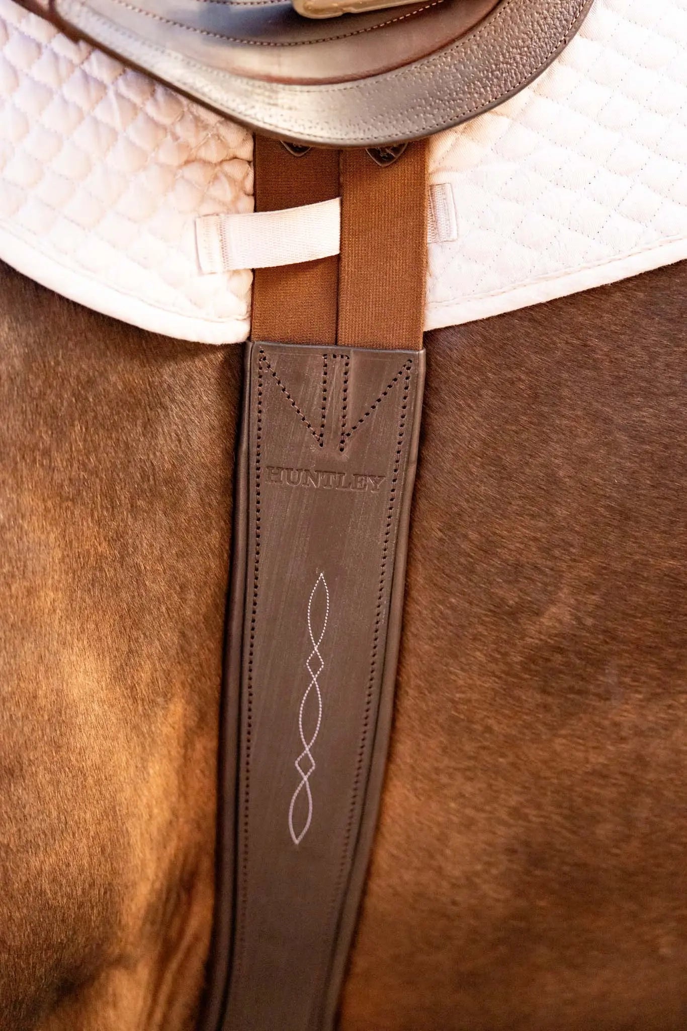 Close-up of a horse saddle with a brown leather strap on a horse's back