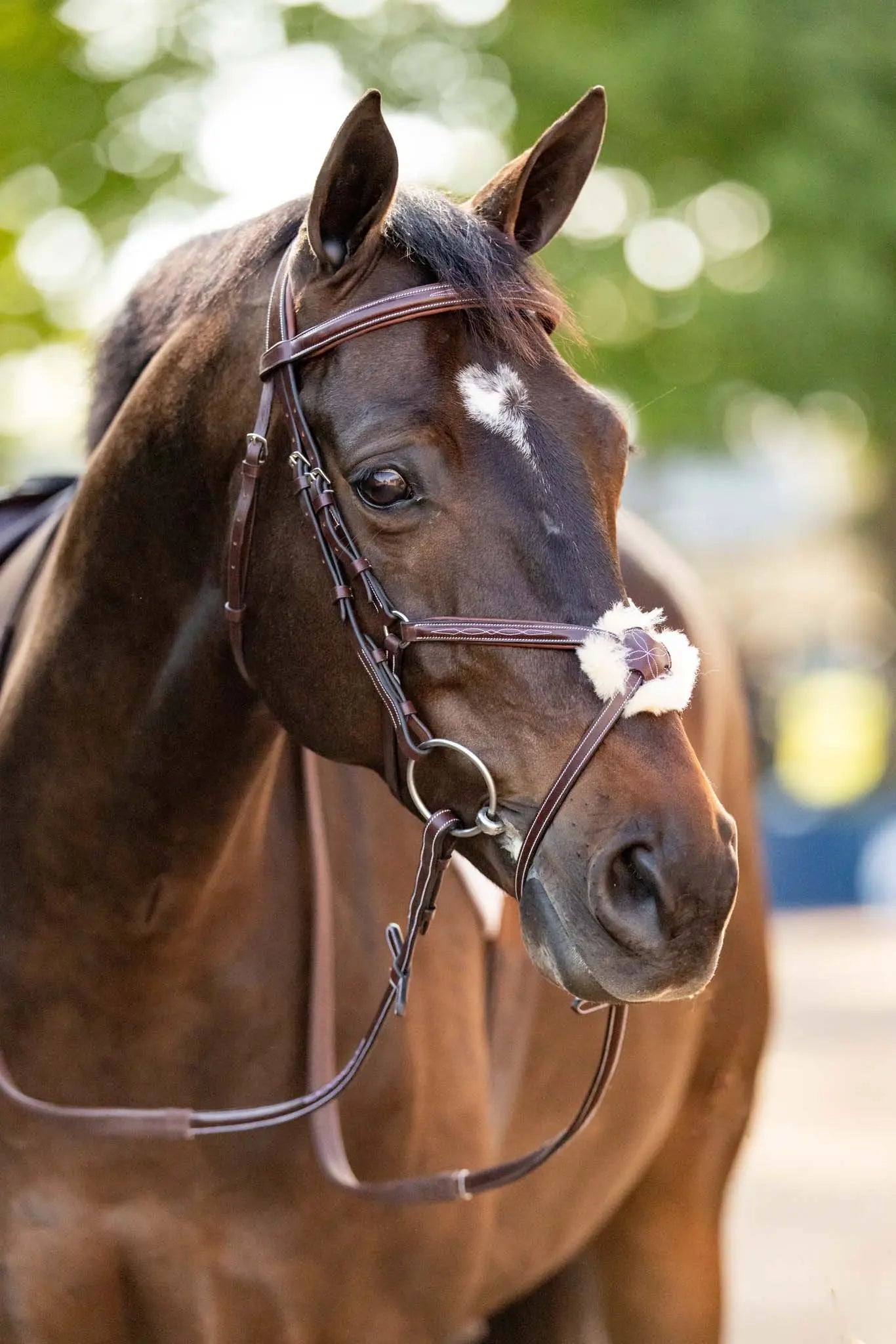 Brown horse wearing a bridle with a blurred green background