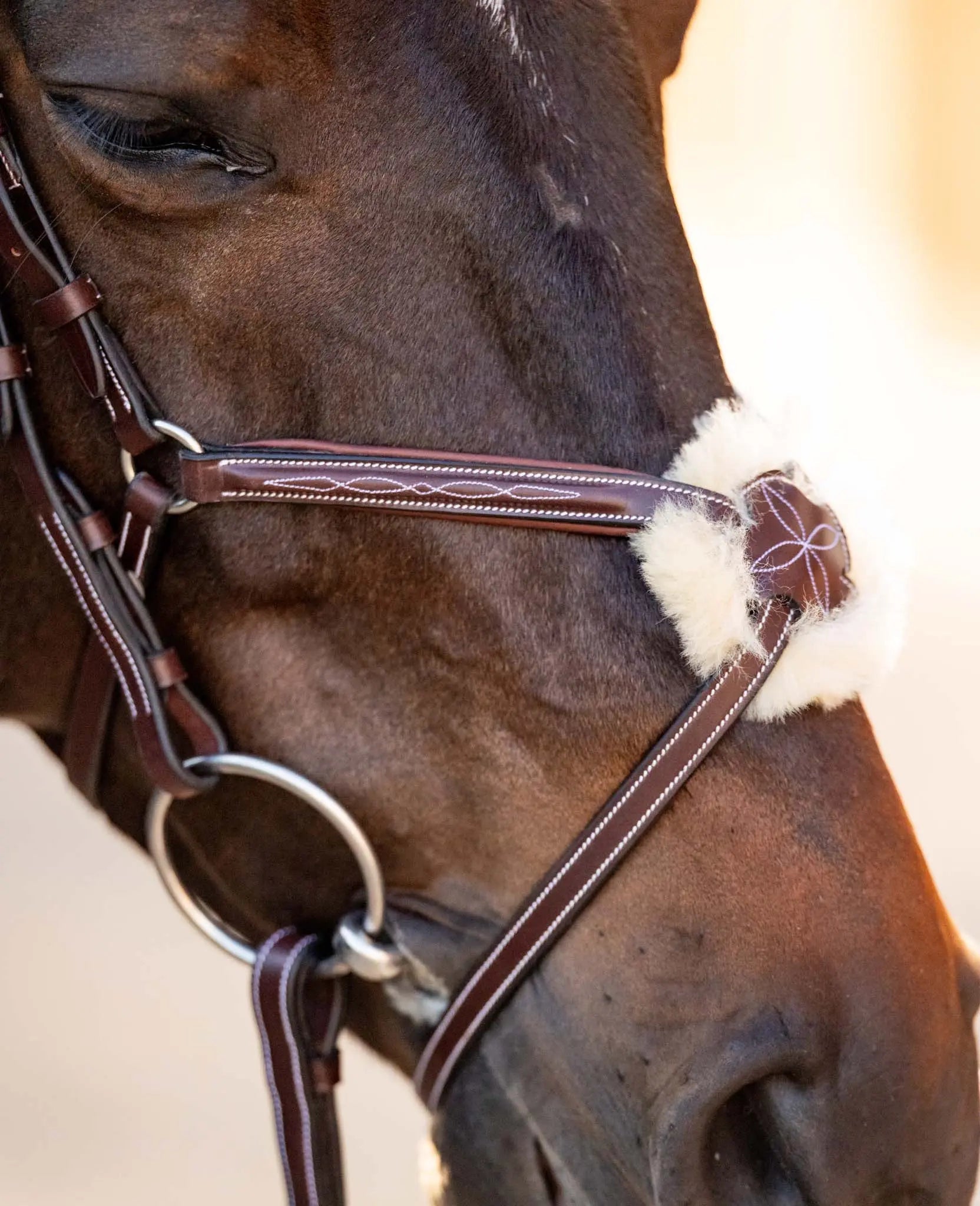 Close-up of a horse's head wearing a bridle with a soft white interior.