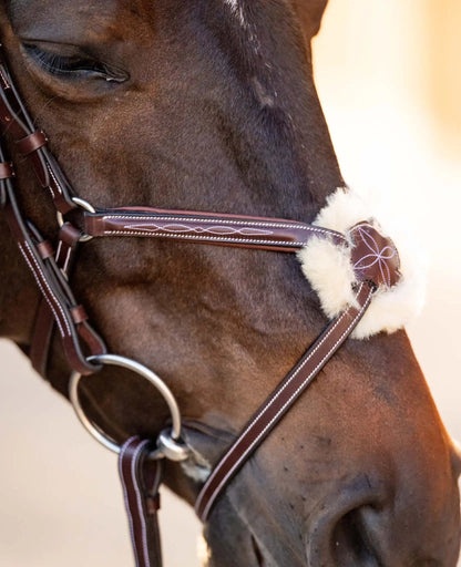Close-up of a horse's head wearing a bridle with a soft white interior.