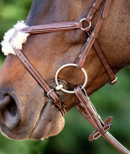Close-up of a horse's head wearing a brown bridle with a white fleece padding on a blurred green background.