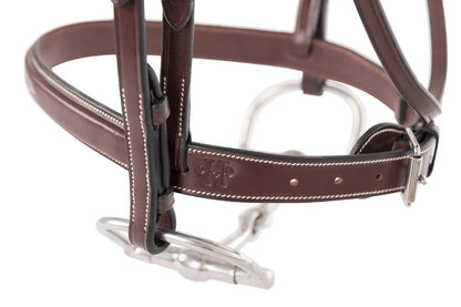 Brown leather bridle with metal hardware on a white background