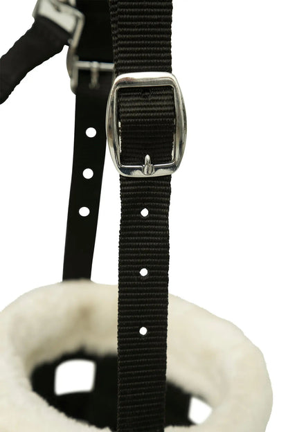 Black strap with silver buckle on a white background