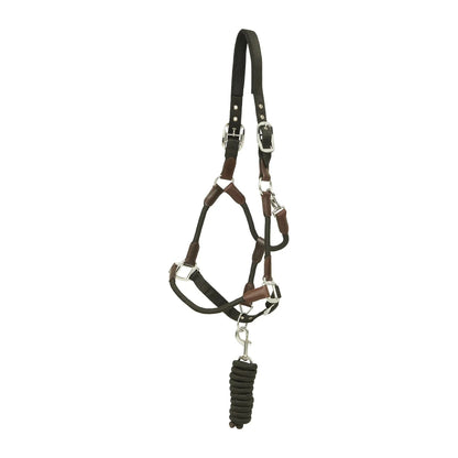 Horse bridle with black reins on a white background