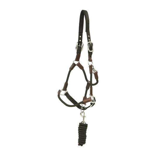 Horse bridle with black reins on a white background