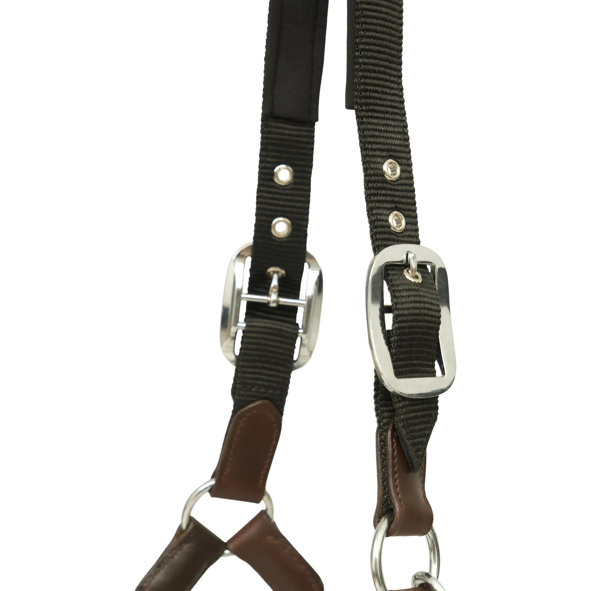 Horse bridle with black and brown straps on a white background