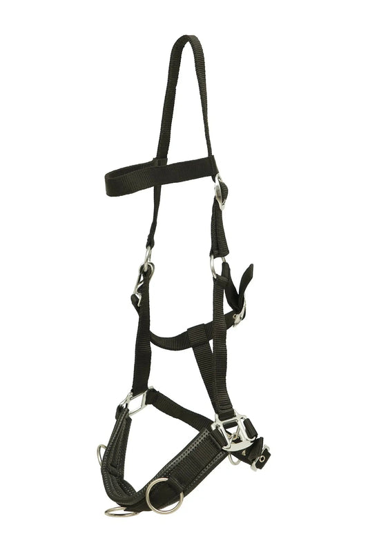 Black horse halter with metallic hardware on a white background