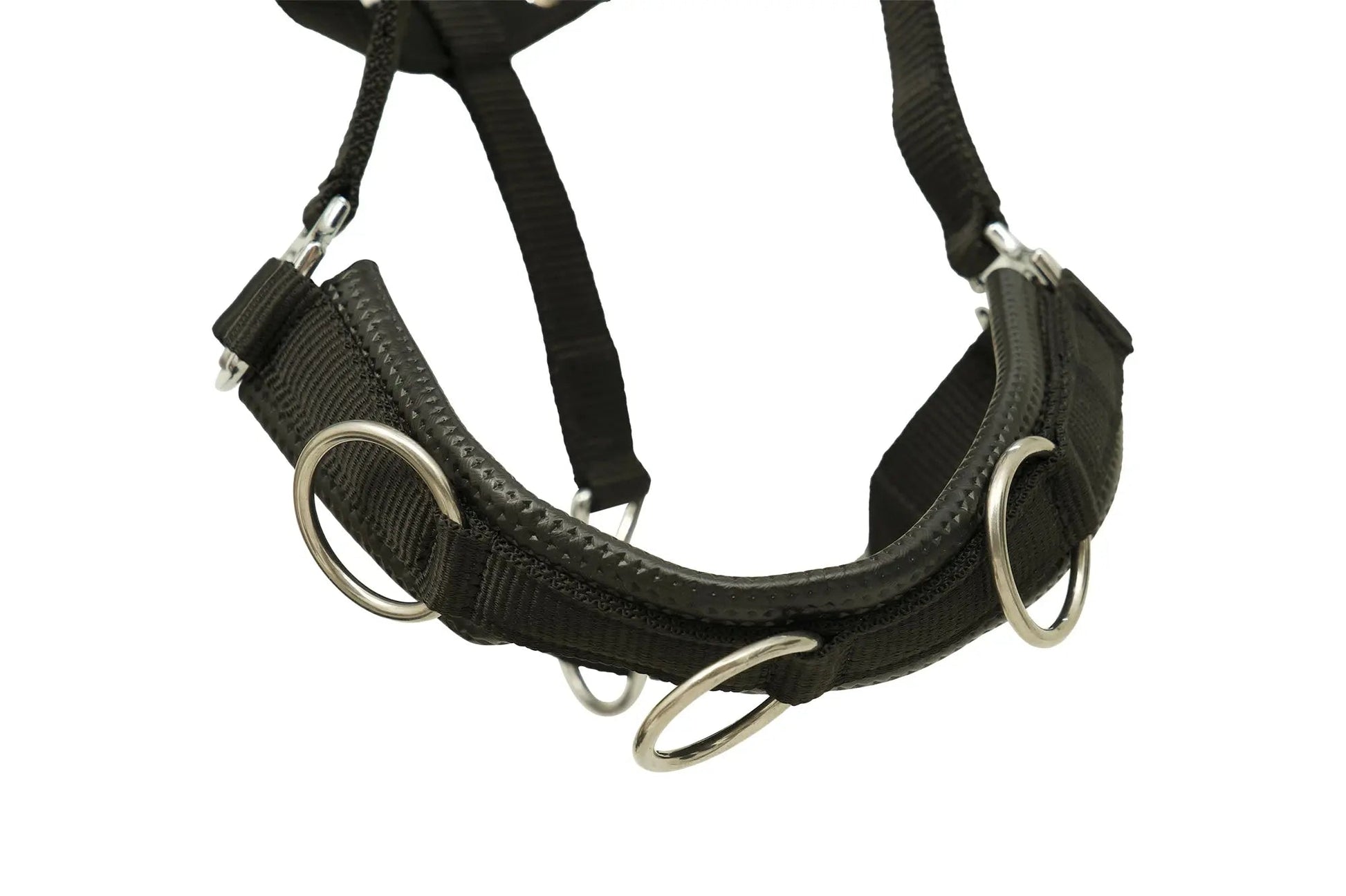Black dog harness with metal rings on a white background