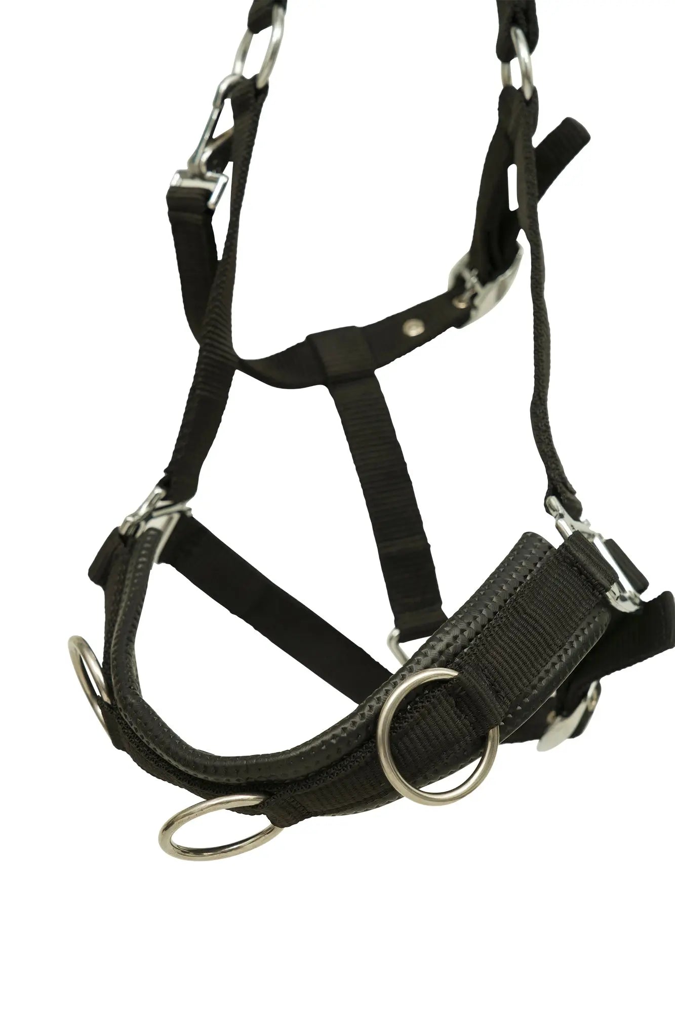 Black horse halter with metal hardware on a white background