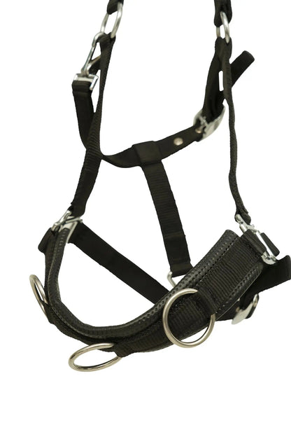 Black horse halter with metal hardware on a white background