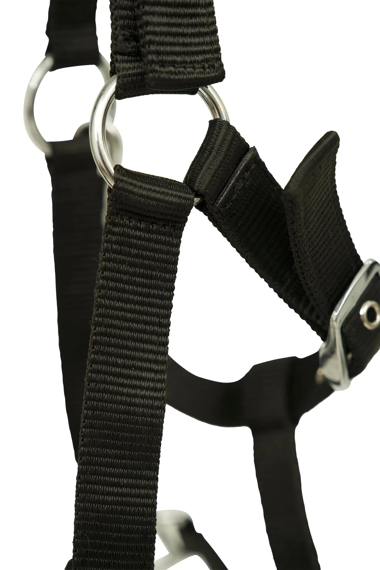 Close-up of a black harness with metal rings on a white background