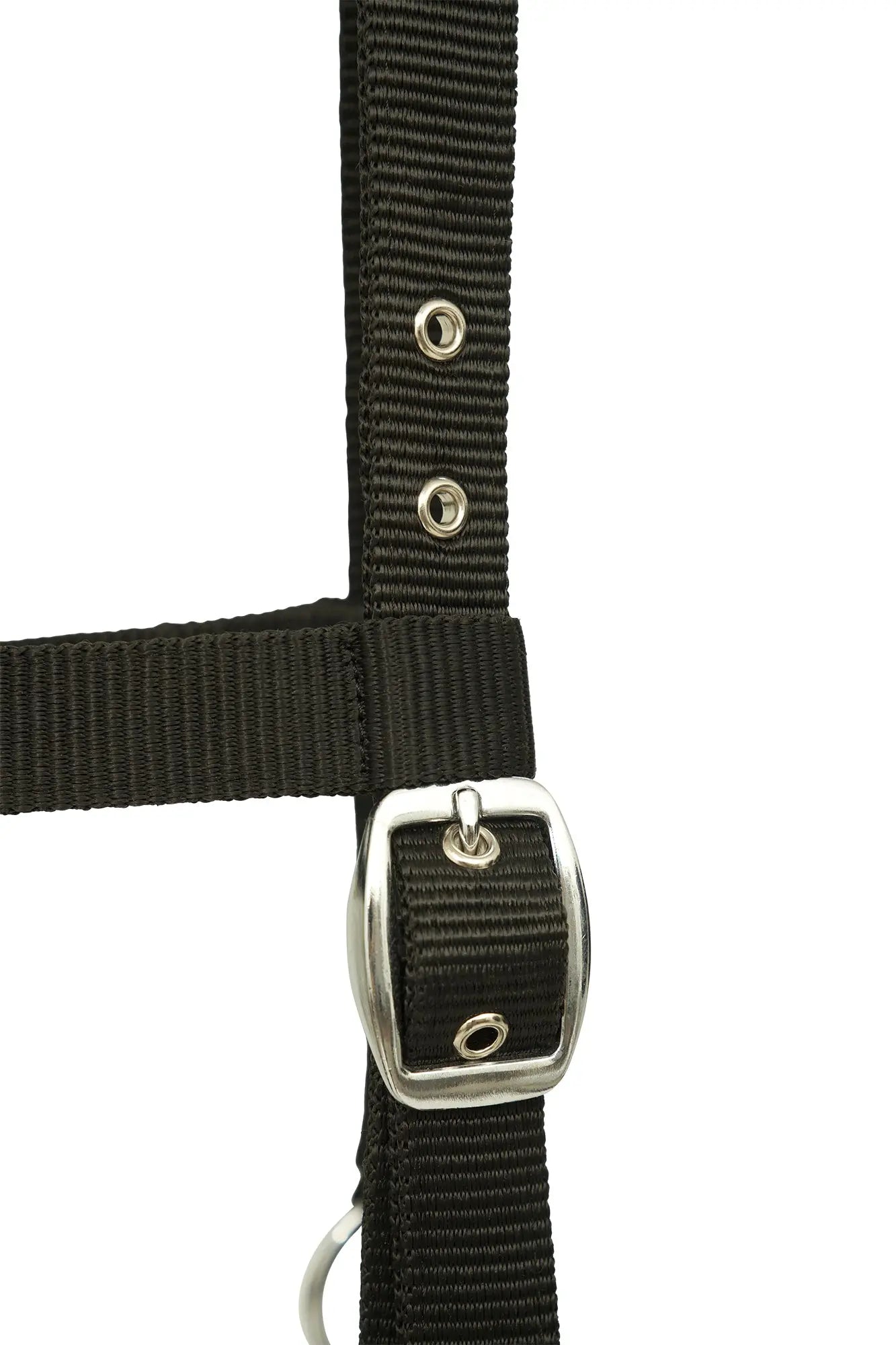 Black strap with metal buckle on a white background