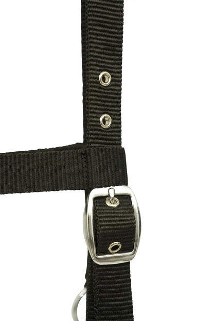 Black strap with metal buckle on a white background