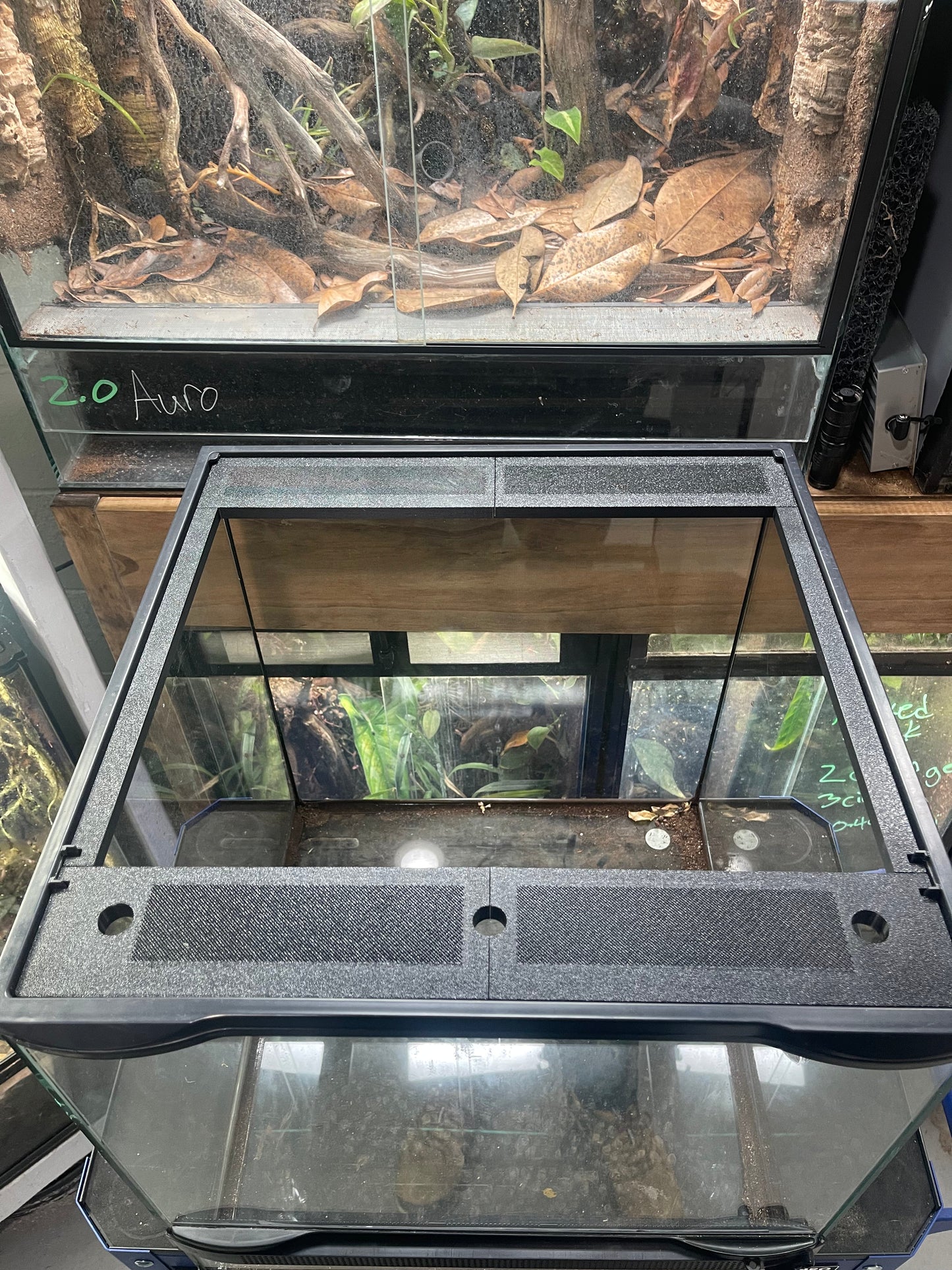 Glass aquarium with a black cover on a wooden surface