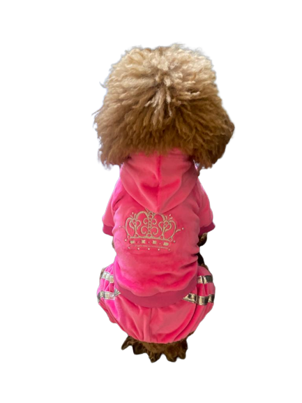 Dog wearing a pink hoodie with a crown design on a white background